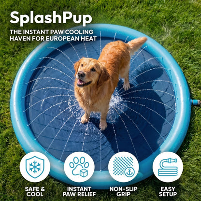 SplashPup™ Dog Splash Pad